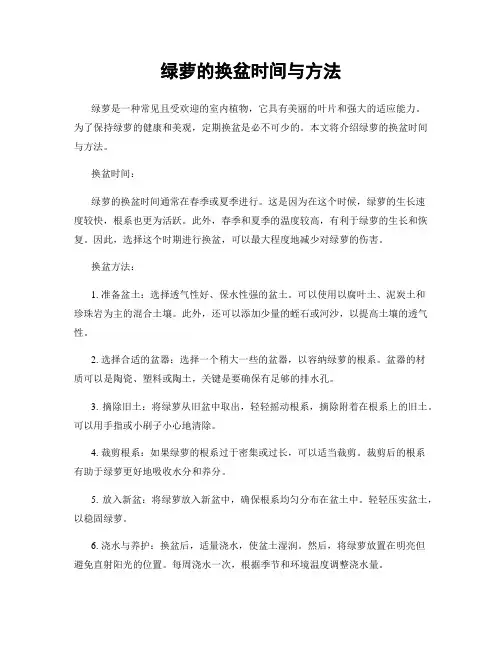 绿萝的换盆时间与方法