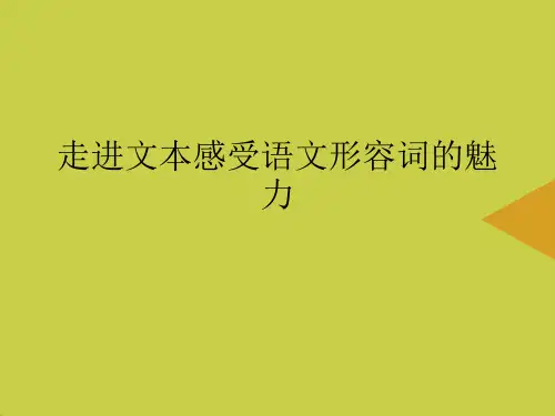 走进文本感受语文形容词的魅力推选PPT资料
