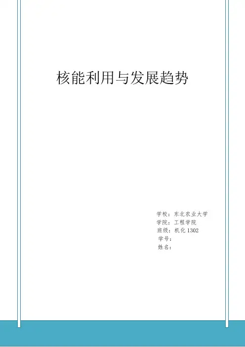 核能利用与发展论文