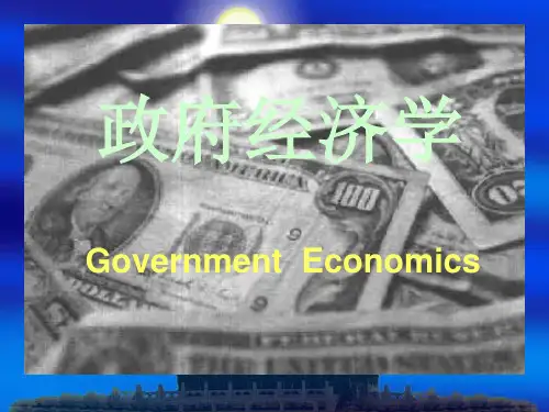政府经济学课件(山东大学 陈东)