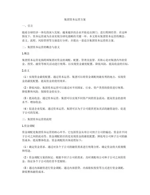 集团资本运营方案