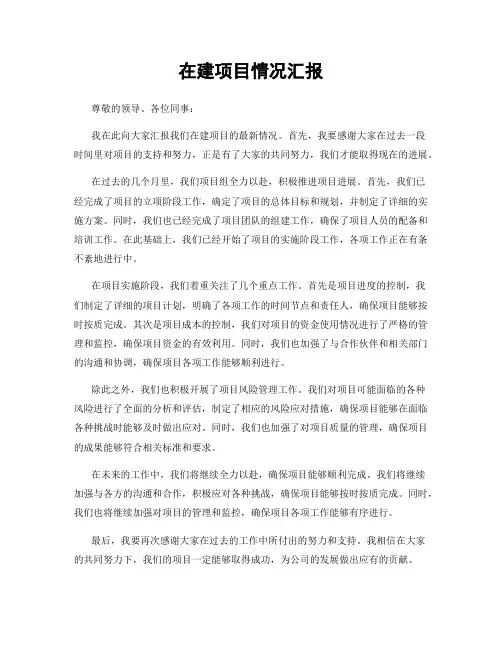 在建项目情况汇报