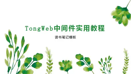 TongWeb中间件实用教程