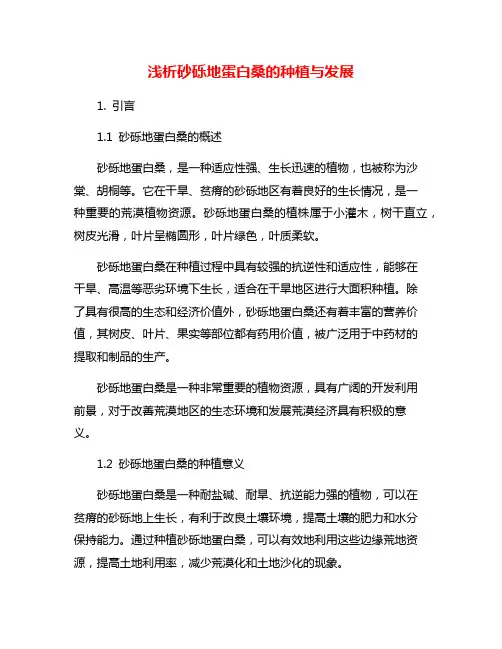 浅析砂砾地蛋白桑的种植与发展