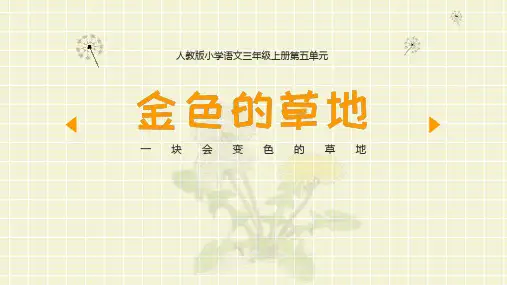 小学语文三年级上册人教版《金色的草地》教学PPT课件