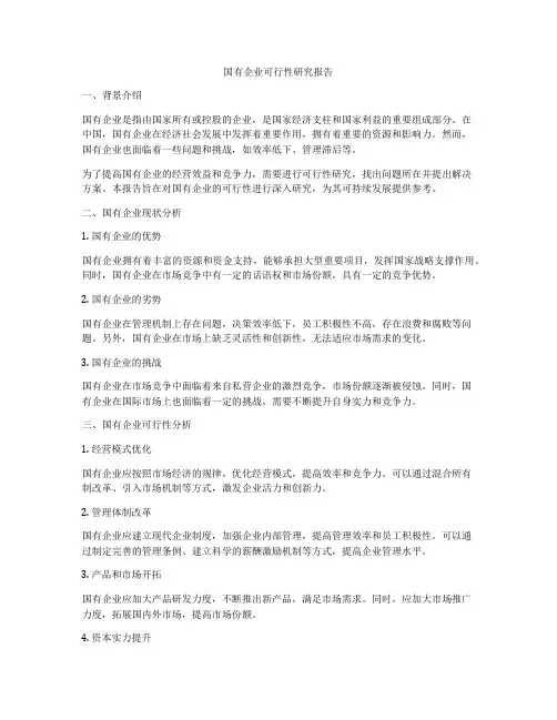 国有企业可行性研究报告