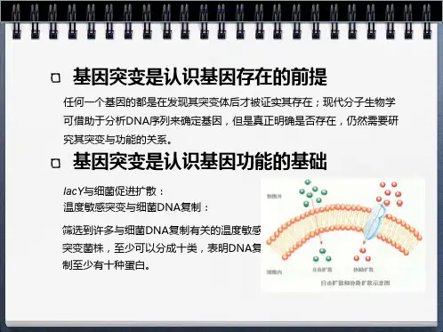 基因突变在微生物研究中的应用