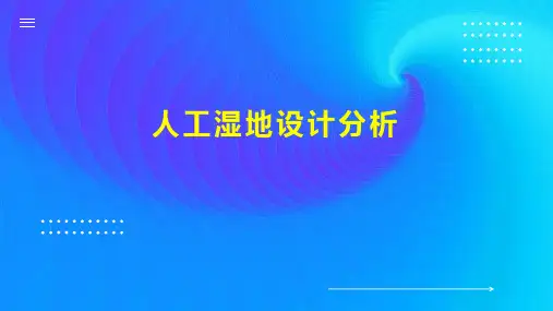人工湿地设计分析