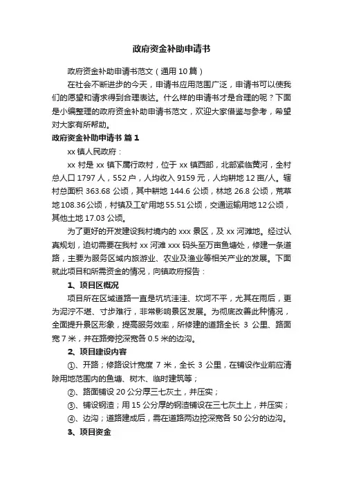 政府资金补助申请书范文（通用10篇）