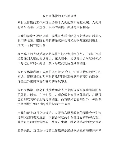 双目立体镜的工作原理是