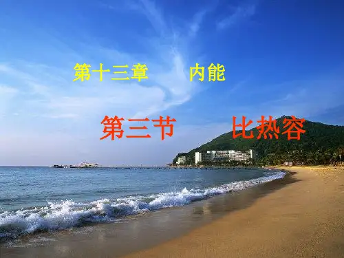 人教版物理九年级全册 《13.3比热容》教讲课件(共39张PPT)