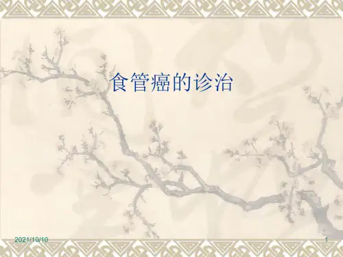 食管癌(1)