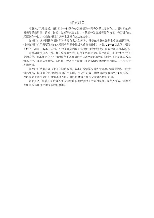 红招财鱼