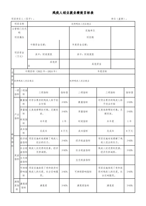 残疾人创业就业绩效目标表