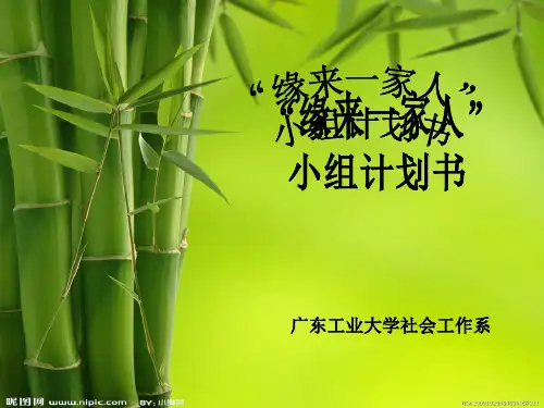 社会工作小组工作计划书PPT