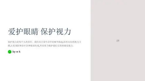 爱护眼睛健康视力主题班会PPT课件