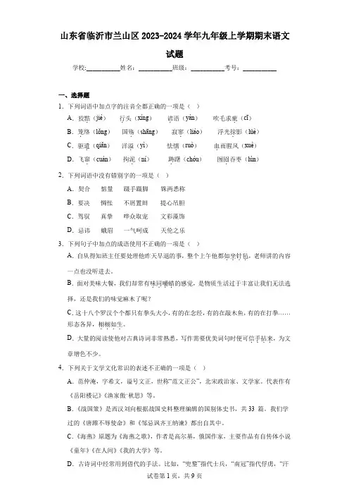 山东省临沂市兰山区2023-2024学年九年级上学期期末语文试题