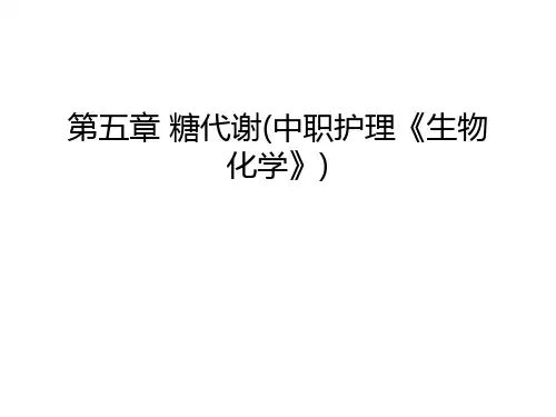 第五章-糖代谢(中职护理《生物化学》)教学资料