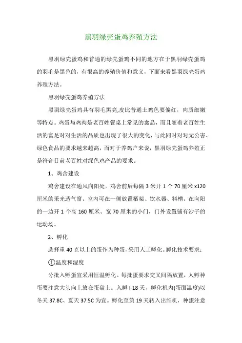 黑羽绿壳蛋鸡养殖方法