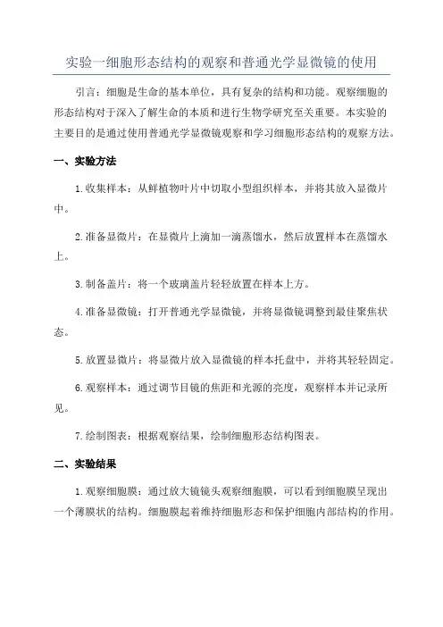 实验一细胞形态结构的观察和普通光学显微镜的使用