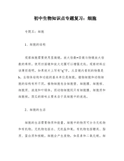 初中生物知识点专题复习：细胞