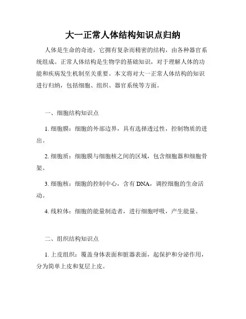 大一正常人体结构知识点归纳
