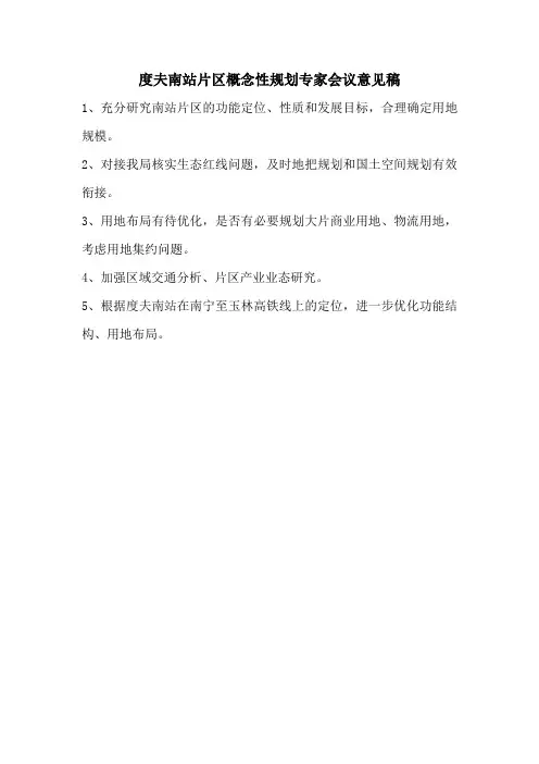 高铁站片区概念性规划专家会议意见稿