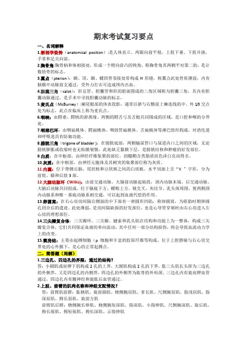 解剖期末考试复习要点2024