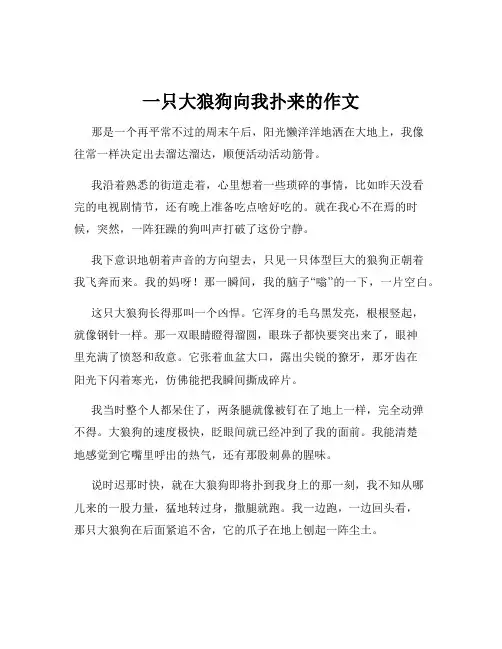 一只大狼狗向我扑来的作文