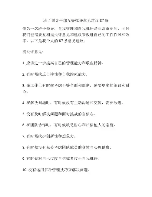 班子领导干部互提批评意见建议87条