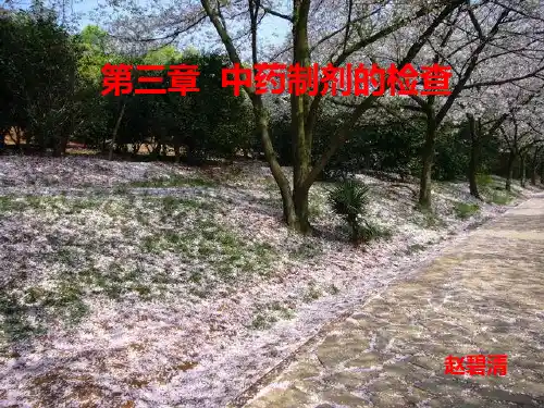 第三章 中药制剂的检查