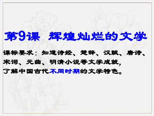 人教版高中历史必修三第三单元第9课 辉煌灿烂的文学 课件(共27张PPT)