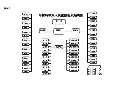 乌拉特中旗人民医院组织结构图