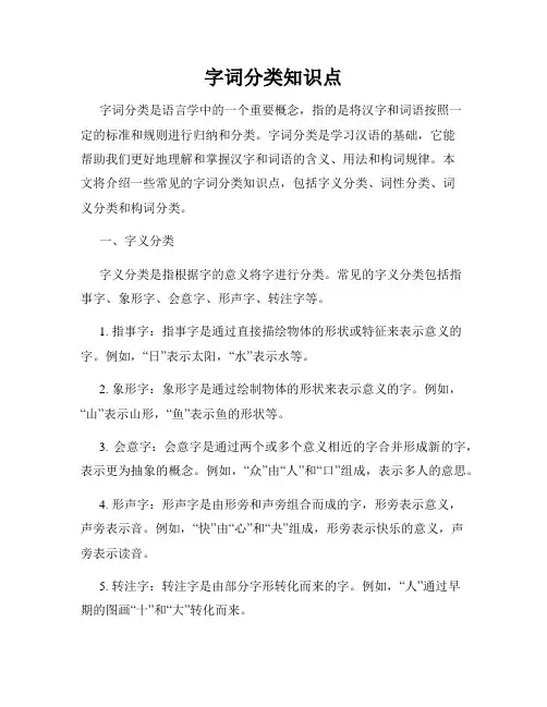 字词分类知识点
