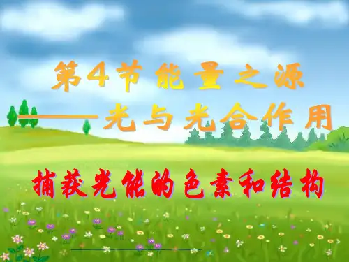 捕获光能的色素和结构--讲PPT课件