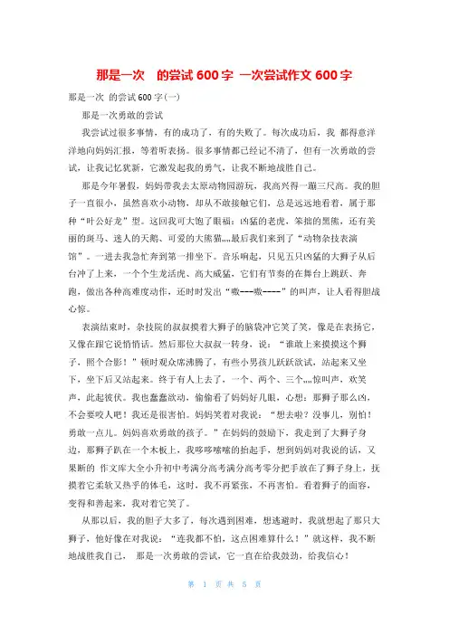 那是一次  的尝试600字 一次尝试作文600字
