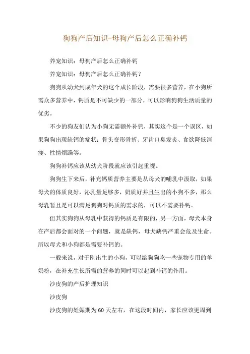 狗狗产后知识-母狗产后怎么正确补钙