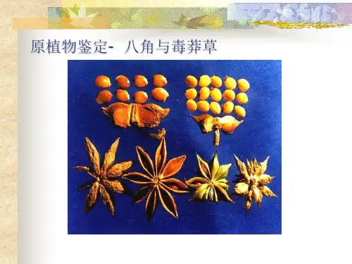 药用植物分类概述试讲内容