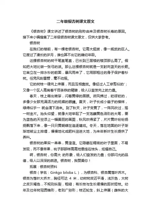 二年级银杏树课文原文