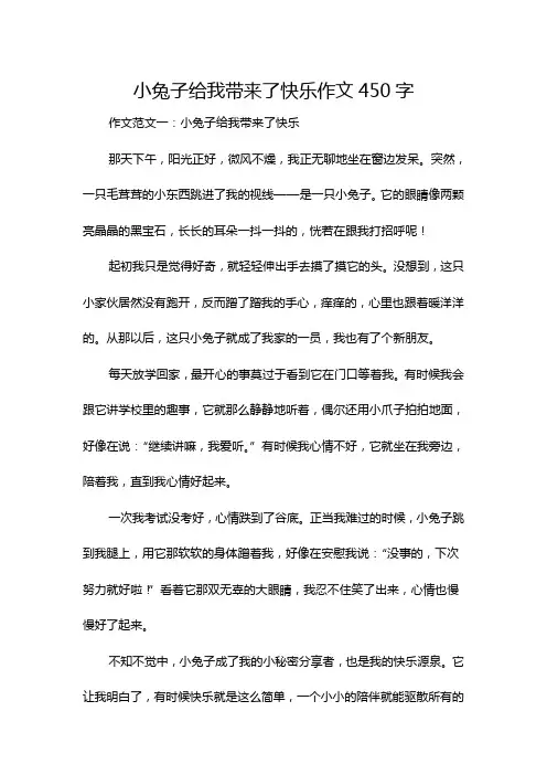 小兔子给我带来了快乐作文450字