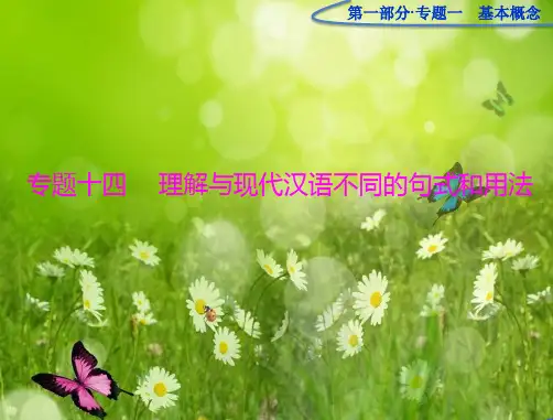 高考语文一轮复习第二部分专题十四《理解与现代汉语不同的句式和用法》复习课件 人教版
