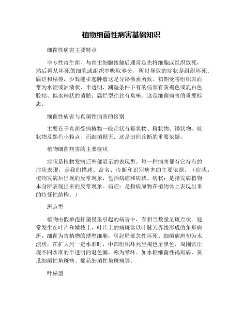 植物细菌性病害基础知识