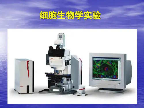 细胞生物学试验课件
