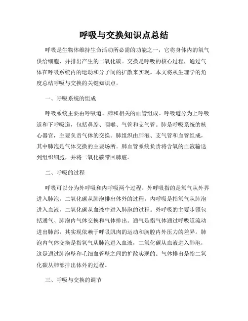 呼吸与交换知识点总结