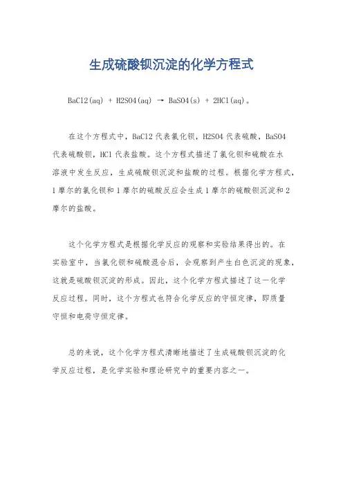 生成硫酸钡沉淀的化学方程式