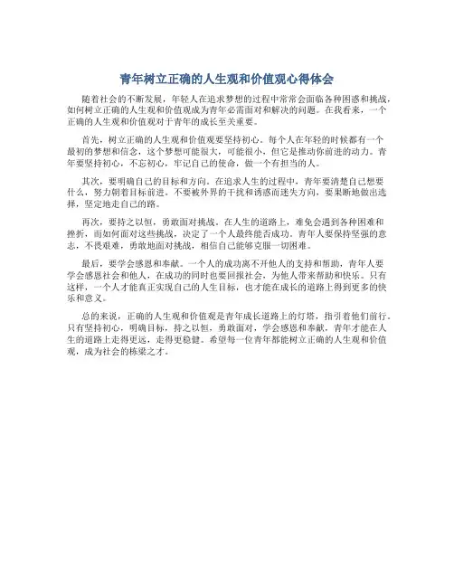 青年如何树立正确的人生观价值观心得体会800字