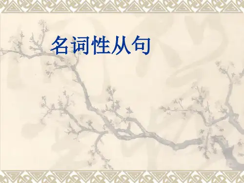 专四语法精讲名词性从句(内部资料)