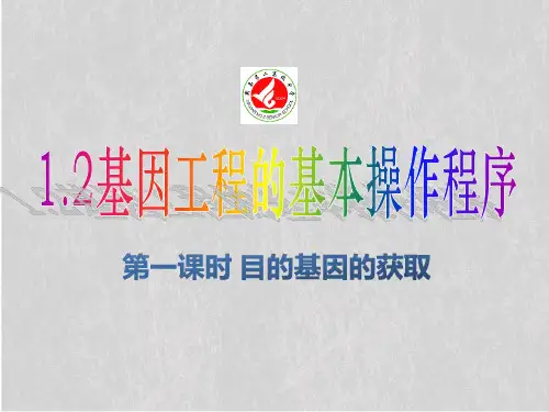 高中生物选修3专题1 基因工程_1.2 基因工程的基本操作程序 