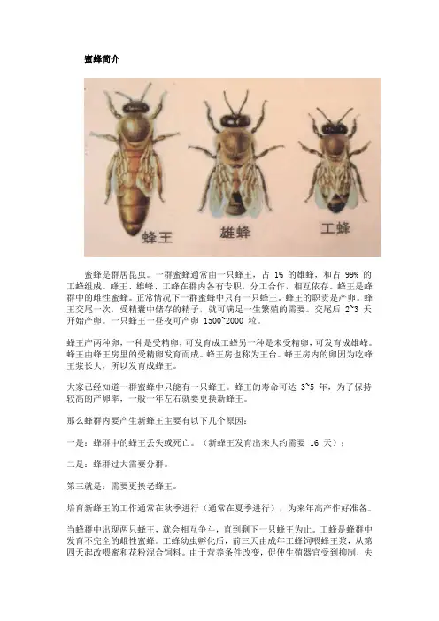 蜂产品知识汇编讲义