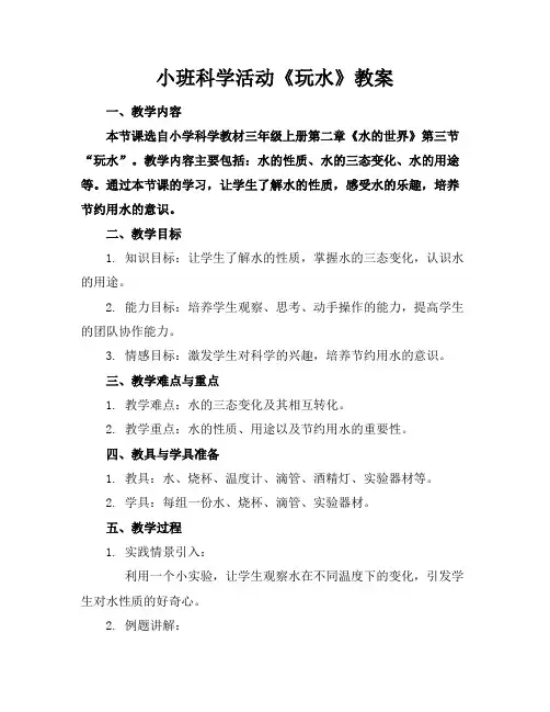 小班科学活动《玩水》教案